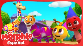 Morphle en VIVO🔴 Aventuras de animales coloridos con Morphle y Mila 🦒🌈  Morphle en Español