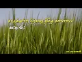 Download Lagu Ennai Thottu Alli Konda Whatsapp Status Video7