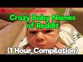 1 Hour of the Crazy Baby Names on Reddit Compilation