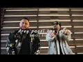 Arey pagol hoe jabo - Deep Jandu, Bohemia ( slowed + reverbed ) | Music Escape