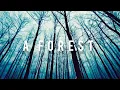 Download Lagu Darkways - A Forest ( The Cure cover)