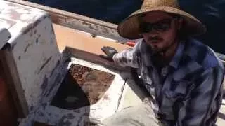 Atticus Update 8: Discovering rotten balsa core