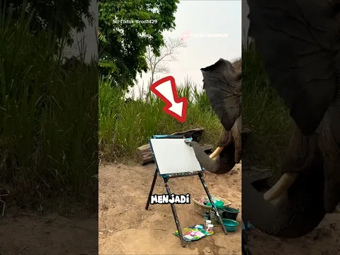 GAJAH TERUNIK DI DUNIA 😱‼️