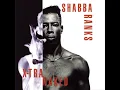 Ting-A-Ling - Shabba Ranks
