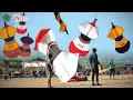 Download Lagu JANGGAN BUNTUT FULL SERI PELANGI DENPASAR 2025, DENPASAR KITE FESTIVAL 2025