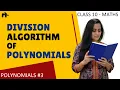 Division Algorithm Polynomials Class 10 Math