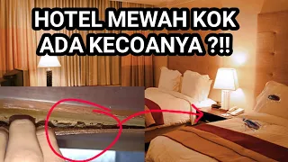 cara mengatasi hama kecoa jerman