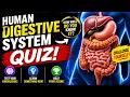 Human Digestive System Quiz - Perfect Exam Review for Students