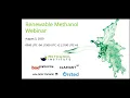 Lagu Renewable Methanol  A Carbon Neutral Fuel Webinar hosted by Methanol Institute