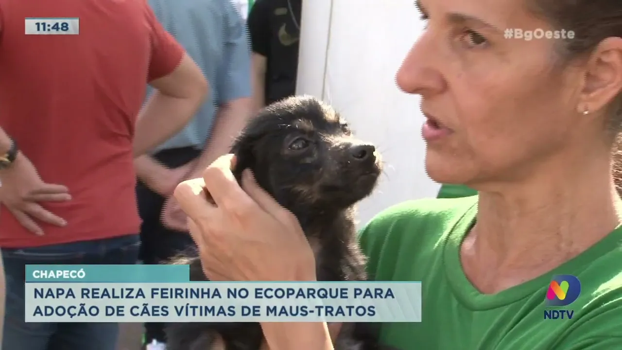 Napa realiza feirinha no Ecoparque para adoção de cães vítimas de maus-tratos