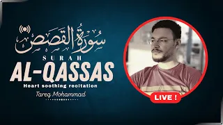 أجمل تلاوات القارئ طارق محمد سورة القصص بث مباشر مطو ل 