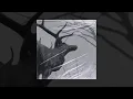 Download Lagu AGALLOCH – The Mantle (Full Album 2002) |  Post-Black Metal  / Atmospheric Neofolk