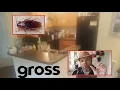 How I Got Rid of GROSS Palmetto Bugs in Florida FOREVER No More American Roach Cockroaches