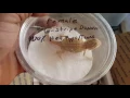 Bearded dragon unboxing g-stripe
