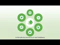 BASF Vegetable Seeds talks about the steps to seed excellence for high-tech greenhouses