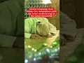 Download Lagu Presiden Iran ziarah ke makam Rosulullah sebelum menghadapi zionis