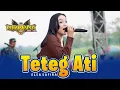 Download Lagu TETEG ATI - Elsa Safira - OM NIRWANA Live Mojoagung