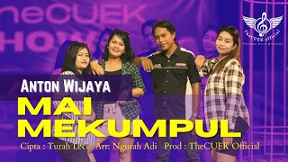 Download MAI MEKUMPUL - ANTON WIJAYA (Official Music Video) MP3