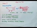 Basic Steps in FEA Finite Element Analysis - 8 Steps E3