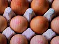 Download Lagu Walking on eggshells - A challenge