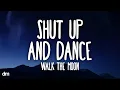 Download Lagu WALK THE MOON - Shut Up and Dance (Lyrics)