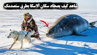 وثائقي العيش في البرية المتجمدة كيف يواجه سكان ألاسكا الأصليون التحديات اليومية بطرق لا تصدق 