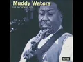Muddy Waters - Long Distance Call