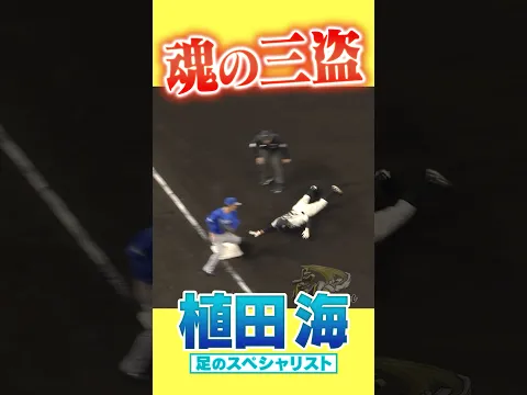 【ヘッスラ神盗塁】土壇場9回に植田が魅せる! #hanshintigers #虎バンチャンネル #プロ野球 #shorts #shortvideo #植田海