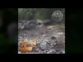 Derrok - La Huella (2019) (New Full Album)