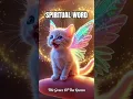 🐱✨ Yaa Quddus Yaa Allah — Pure Heart Cat Zikr 📿 #shorts