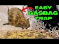 Easy GASBAG SOLO TRAP Never Chase Them Again How To Easily Tame a Gasbag in Ark Survival Ascended