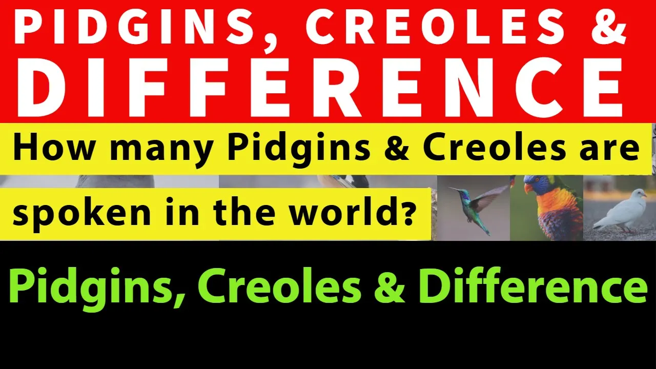 Pidgin | Lexifier Languages | Creole | Pidgins and Creole Grammar and Difference | Tok Pisin