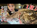 Download Lagu 【規格外】とてつもなくデカいアジを捌いて、巨大料理にする！