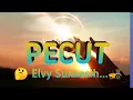 Download Lagu PECUT MIRNAWATI Karaoke Tanpa Vokal@DEDIROSADI