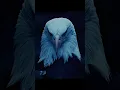 Lagu eagle Capcut edit | Deus do Olimpo No copyright infringement intended credit to the rightful owner