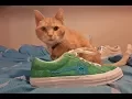 GOLF LE FLEUR UNO JOLLY GREEN