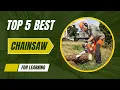 Top 5 Best Chainsaws on the US Market