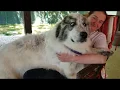 190423 Bandit Pyr