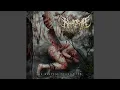 Download Lagu Sayuga Tira
