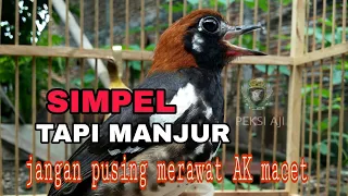 Download TERBUKTI...!! PERAWATAN ANIS KEMBANG LEPAS TROTOL MACET  BUNYI, BIAR MAU BUNYI LAGI MP3