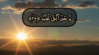 Download Surah Abas |surah_Abas@Zikrullah MP3