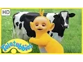 Download Lagu ★Teletubbies English Episodes★ Milking Cows ★ Full Episode - HD (S06E136)