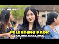 Download Lagu LAGU SASAK - PELENTONG PAOK - COVER NANA NUTRISARI VERSI MEGANTARA INDONESIA 2025