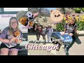 Spend 24 hours in Chicago kpop Chinatown knock off skzoo seeing yoongi