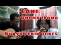 Download Lagu CANE - RHOMA IRAMA [COVER] BUAYO PEKIK ORKES