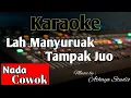 Download Lagu LAH MANYURUAK TAMPAK JUO || NADA COWOK