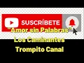 Amor sin Palabras- Karaoke - Los caminantes -(HD)