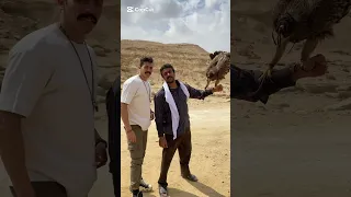 فهد البطل ملكه العقبان ف مصر شمس نبوي مصر 