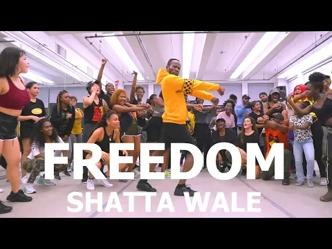 Download MP3 Shatta Wale - Freedom | Meka Oku Afro Dance Choreography