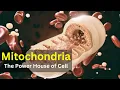 Mitochondria Structure and function Power house of cell Biology Cell biology